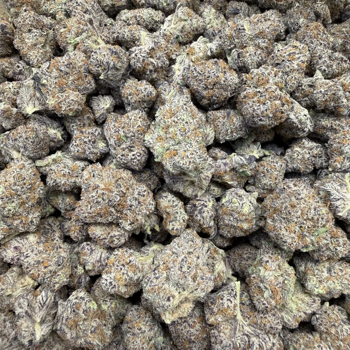 Blueberry Haze Flower